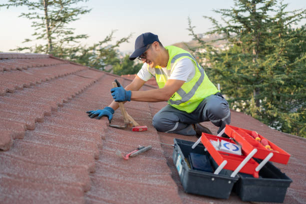 Best Affordable Roofing Company  in Tipton, IA